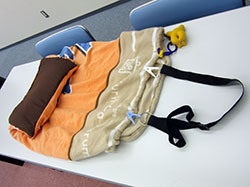 第595回例会報告