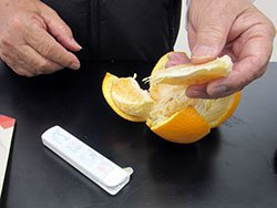 第595回例会報告