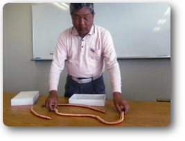 第５６１回例会画像