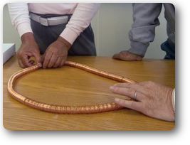 第５６１回例会画像