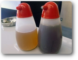 第５６２回例会画像