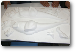 第586回例会報告