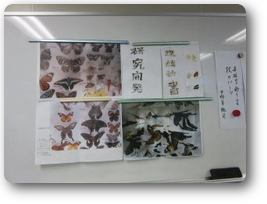 第５６５回例会画像