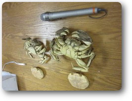 第５６５回例会画像