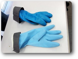 第５６６回例会画像